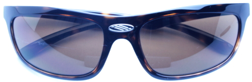 ���f�B�v���W�F�N�g�@ROB2.0/�f�~�^�[�g���O���X