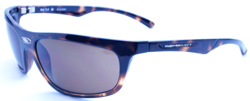 ���f�B�v���W�F�N�g�@ROB2.0/�f�~�^�[�g���O���X